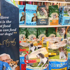 Collection image for: Dog Food