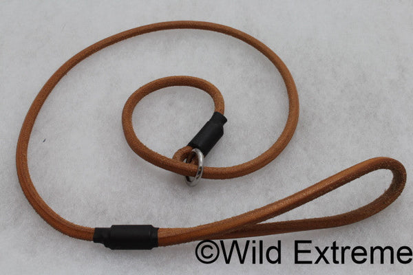 Leather Dog Leads And Collars – Wild Extreme