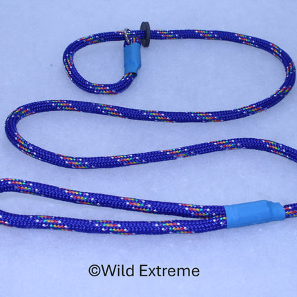 Blue braided leash with colorful accents on a light blue background, branded 'Wild Extreme'.