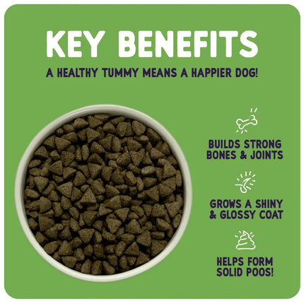 Dog food packaging with key benefits listed on a green background