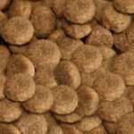 Close-up of Arkwrights complete food
