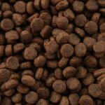 Close-up of Dr John Puppy food