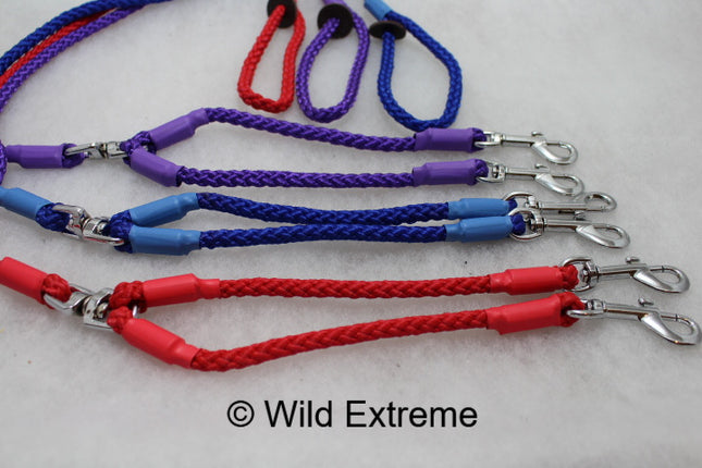 Twin lead for 2 Dogs