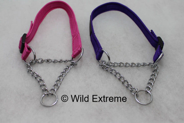 1/2 Check Martingale Dog Collar