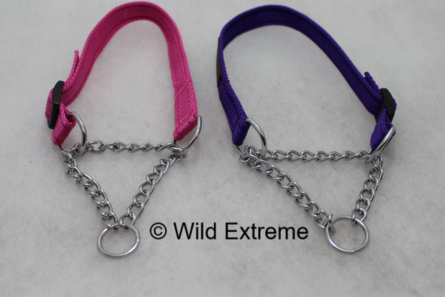 1/2 Check martingale collar