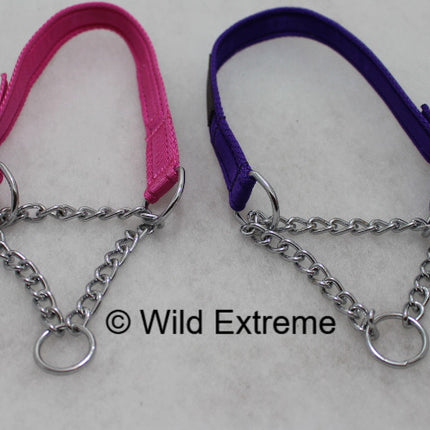 1/2 check Martingale dog collar