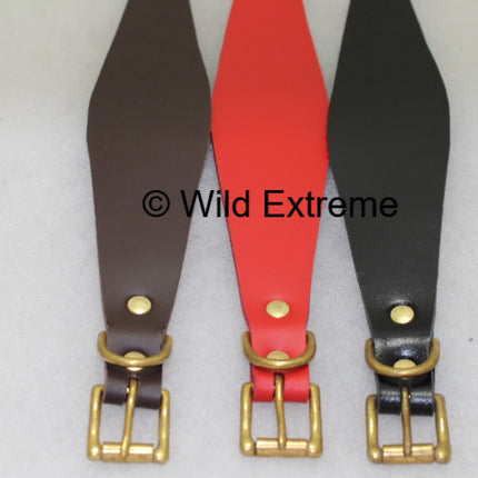 Leather Greyhound Collars