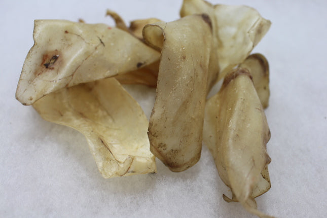 Cows Ears x  5