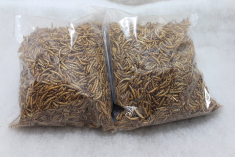 Mealworms 250g