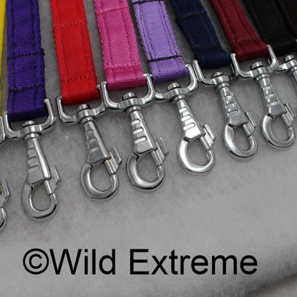 Webbing Puppy Leads