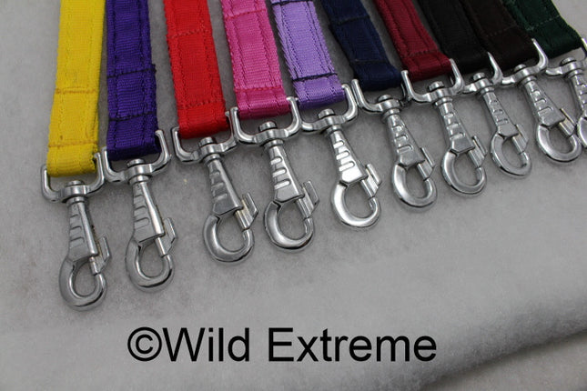 Webbing Puppy Leads