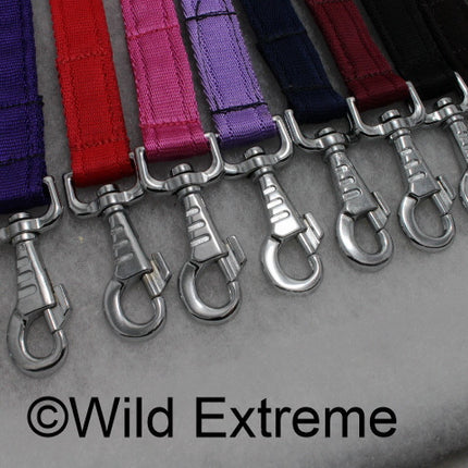 Padded Webbing Puppy Leads