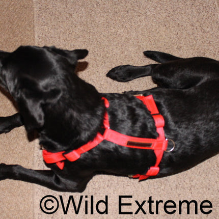 Med Full Body Dog Harness