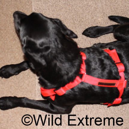Full Body Dog Harness