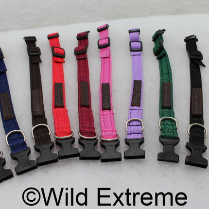 25mm Padded Webbing Dog Collar - Acetal Buckle (Med)