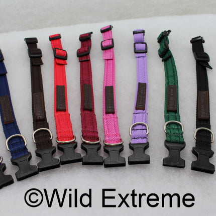 25mm Padded Webbing Dog Collar - Acetal Buckle (X Large)