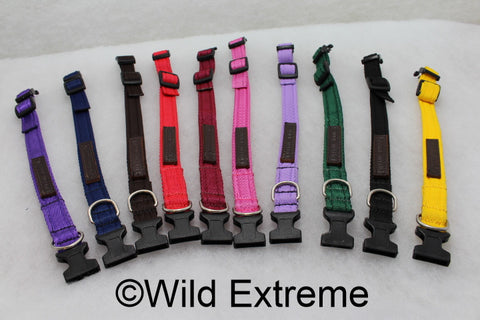 25mm Padded Webbing Dog Collar Acetal Buckle X Large