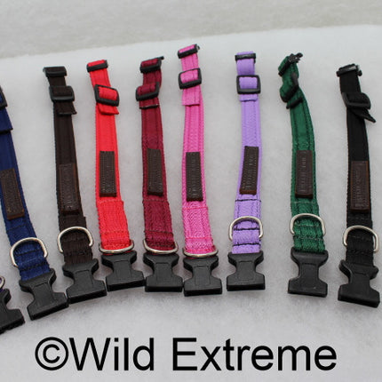 25mm Padded Webbing Dog Collar - Acetal Buckle (Large)