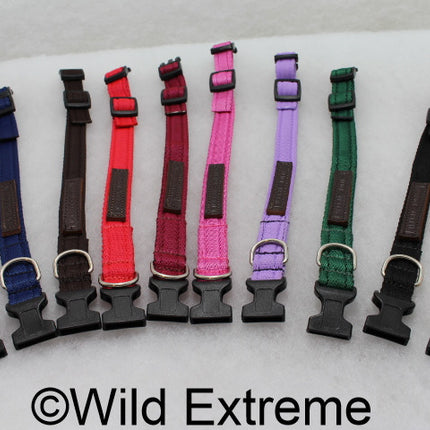 Small 20mm Padded Webbing Dog Collar