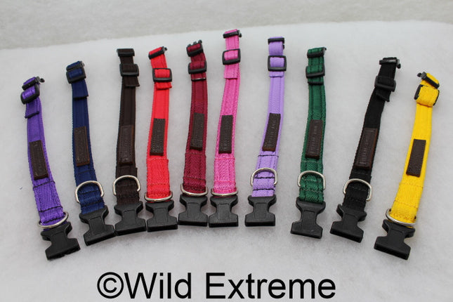 Small 20mm Padded Webbing Dog Collar