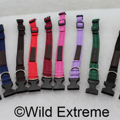 Small 20mm Padded Webbing Dog Collar