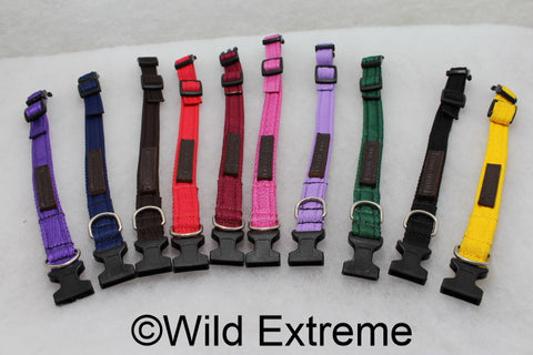 Small 20mm Padded Webbing Dog Collar