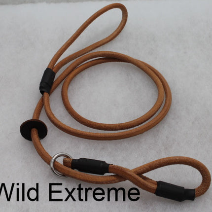 Leather Anti Pull Dog Lead